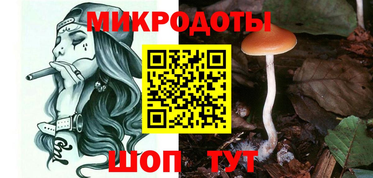 Псилоцибиновые грибы прущие грибы Зима