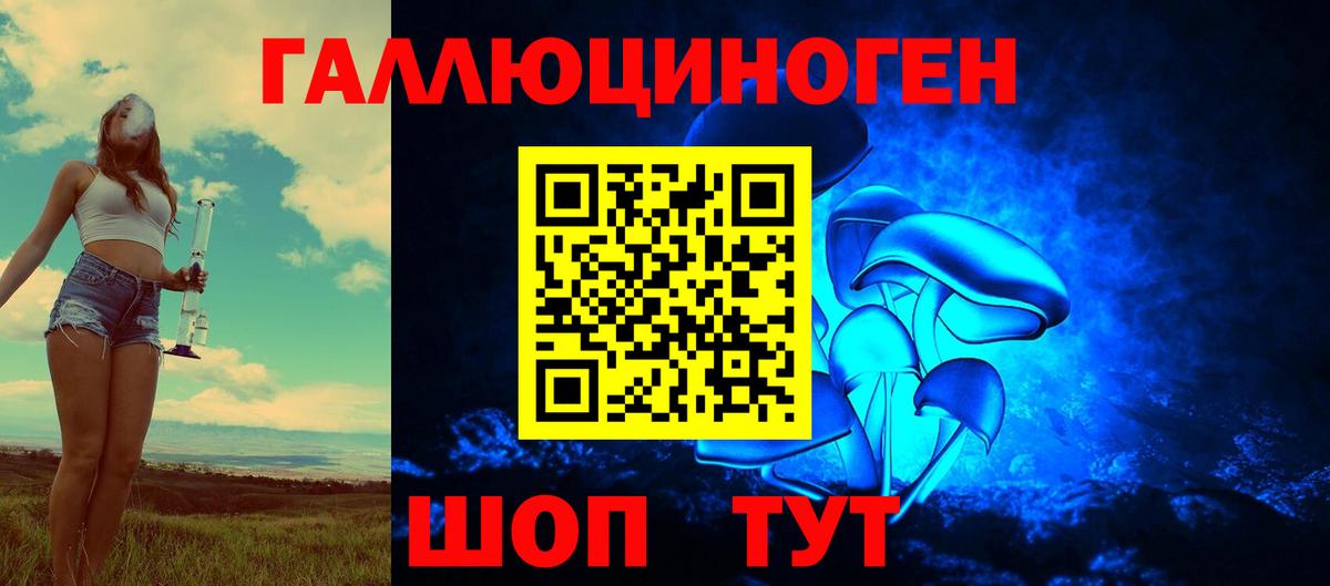 Галлюциногенные грибы мицелий  Галлюциногенные грибы прущие грибы  Вход с VPN  Зима 