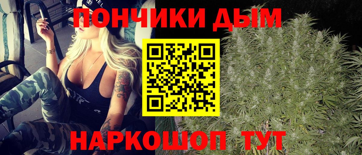 Зима  Шишки марихуана план  Каннабис индика  Вход с VPN 